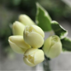 Тюльпан Монте-Карло (2 вида, 6 шт на форме)