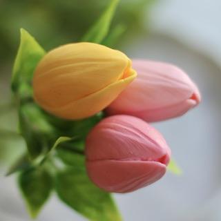Тюльпан Париж (3 цветка на форме)