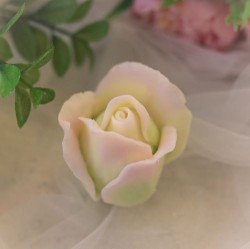 Бутон розы Одри